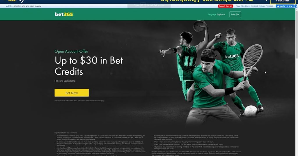 bet365 gaming offer